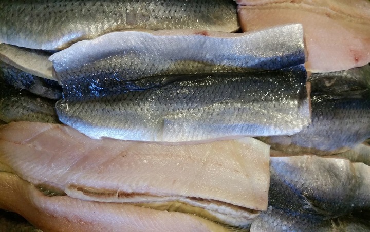 Płaty śledziowe świeże - śledzie 1KG