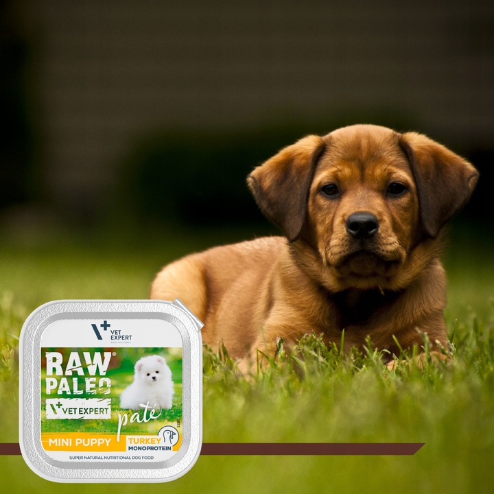 Mokra karma dla szczeniąt małych ras indyk Raw Paleo Pate 12 x 150 g