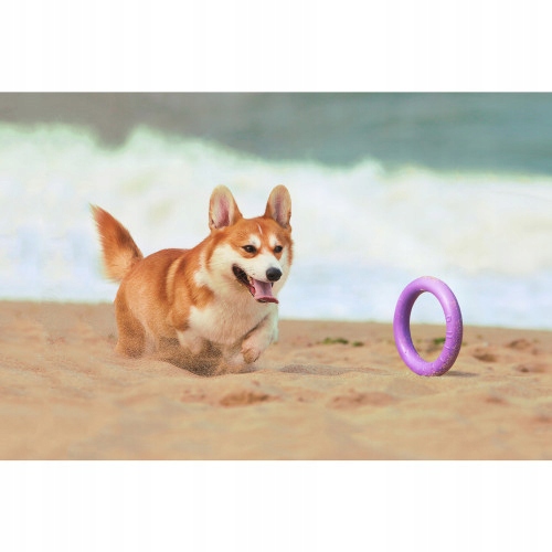 Szarpak dla psa PULLER Midi 19,5 cm - zabawka 2 ringi dla średnich ras psów