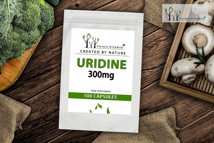 FOREST URYDYNA UMP 100 kaps ALZHEIMER MÓZG