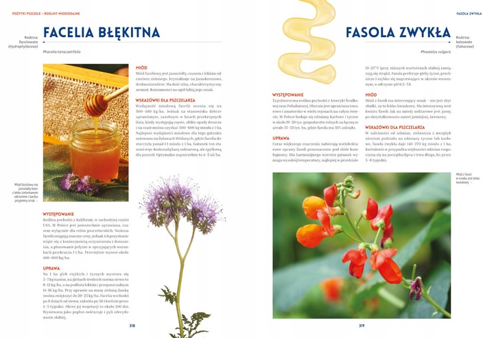 Pszczelarstwo, Jacek Nowak, Michał Piątek