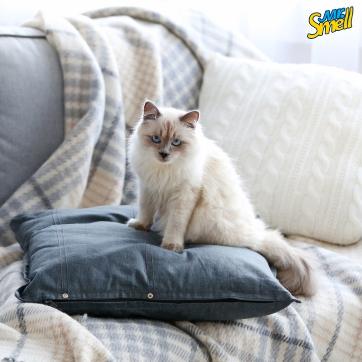 Mr. Smell Kot - skutecznie usuwa zapach moczu kotów 500 ml płyn