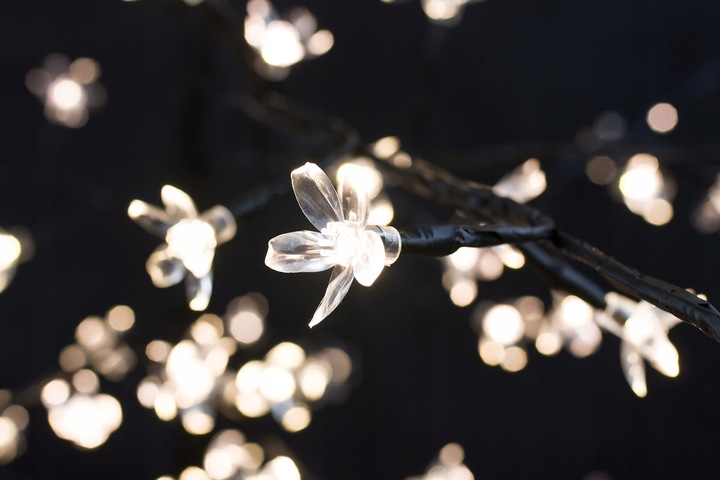 DRZEWKO LED 200 cm KWITNĄCY KWIAT WIŚNI DEKORACJA ŚWIĄTECZNA IP44 PILOT