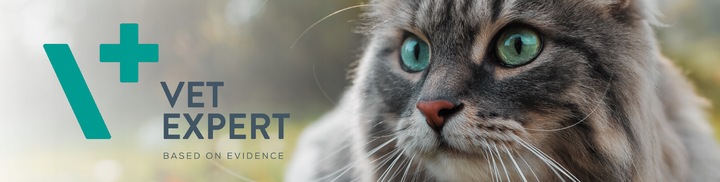 Preparat dla psów i kotów na stawy Vet Expert Arthrovet 60 tabletek