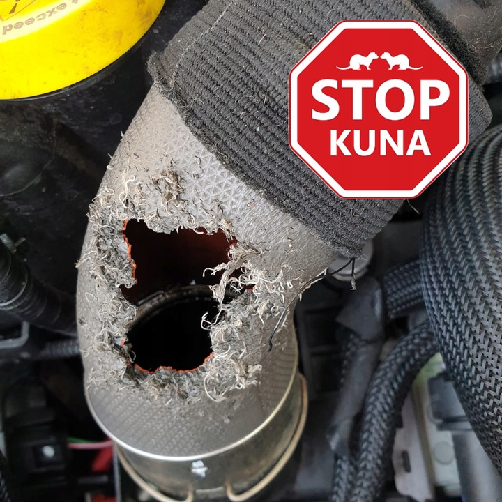 ODSTRASZACZ KUN SKUTECZNY NA ALLEGRO ŚRODEK NA KUNY DO SAMOCHODU