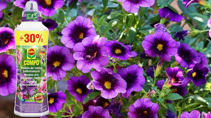 NAWÓZ DO ROŚLIN BALKONOWYCH PELARGONII SURFINII PETUNII PŁYNNY 1,3L COMPO