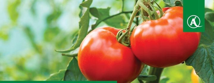 SANIUM SYSTEM 100ML długa tarcza na mszyce mączliki i inne insekty roślin