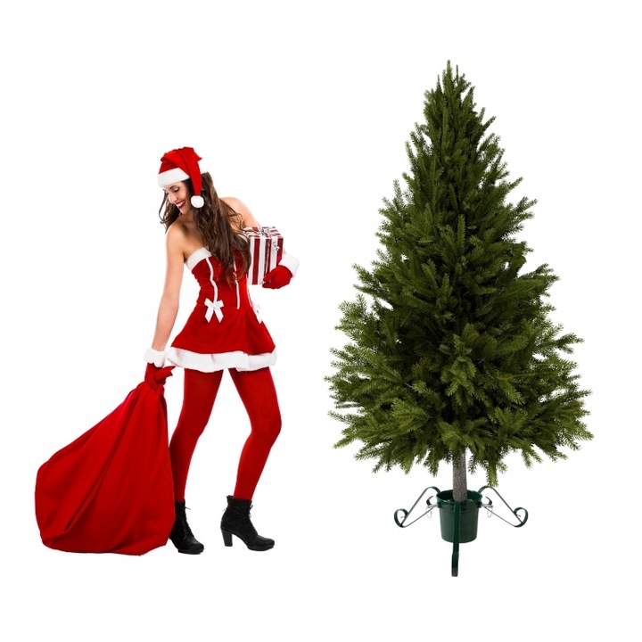 Stojak na choinkę metalowy POJEMNIK na wodę 2,1m STABILNY zielony trójnóg