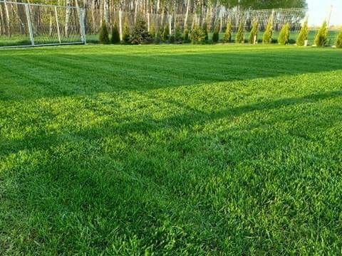 Nawóz do trawy do trawników na lato MAGGROW 20 kg