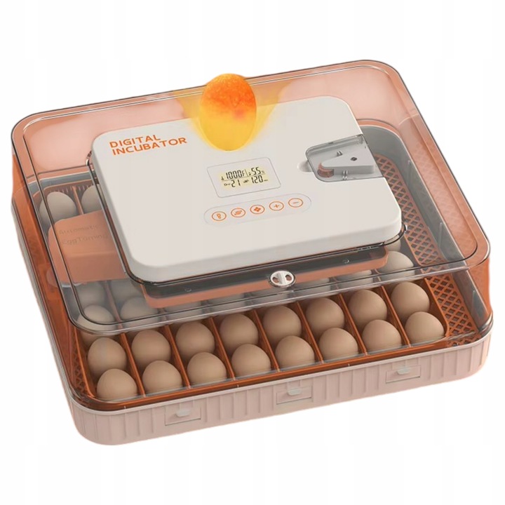 Inkubator Automatyczny 56H 56 Jaj Z Owoskopem 12V Klujnik Wylęgarka Drobiu