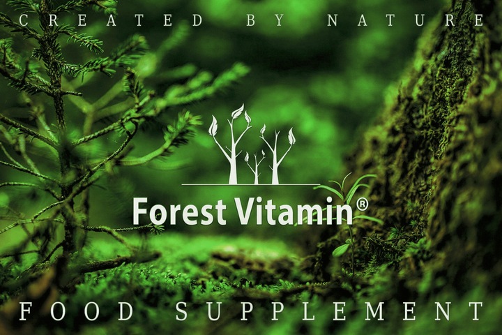 FOREST CDP CHOLINA CYTYKOLINA 60kaps PAMIĘĆ KONCENTRACJA ENERGIA MOCNA