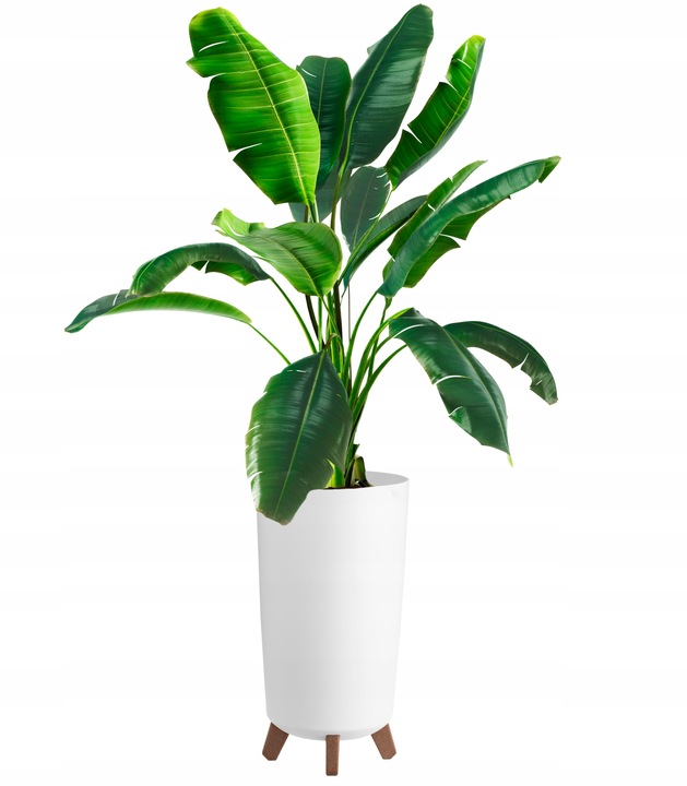 DONICA DONICZKA WYSOKA KWIETNIK STOJĄCY NA NÓŻKACH DO DOMU OGRODOWA BIAŁA