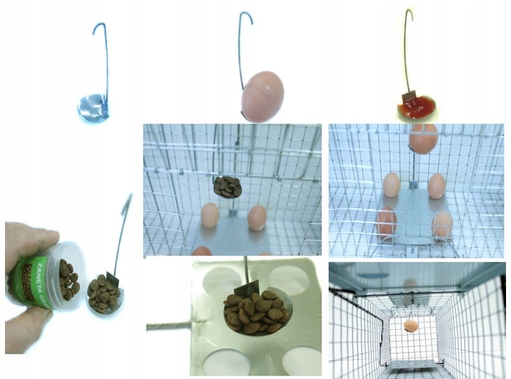 PUŁAPKA ŻYWOŁAPKA NA KUNY NORKI KLATKA 82x17x20