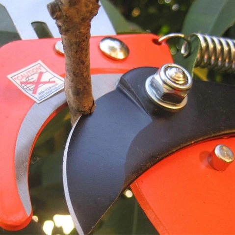 SEKATOR GĄSIENICOWY DO GAŁĘZI TELESKOPOWY ŻYRAFA NA TELESKOP WYSIĘGNIK