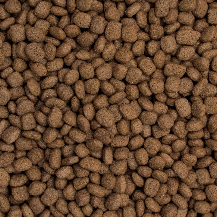 TROPIDOG Small Mini Beef 8kg Adult Wołowina dla małych ras