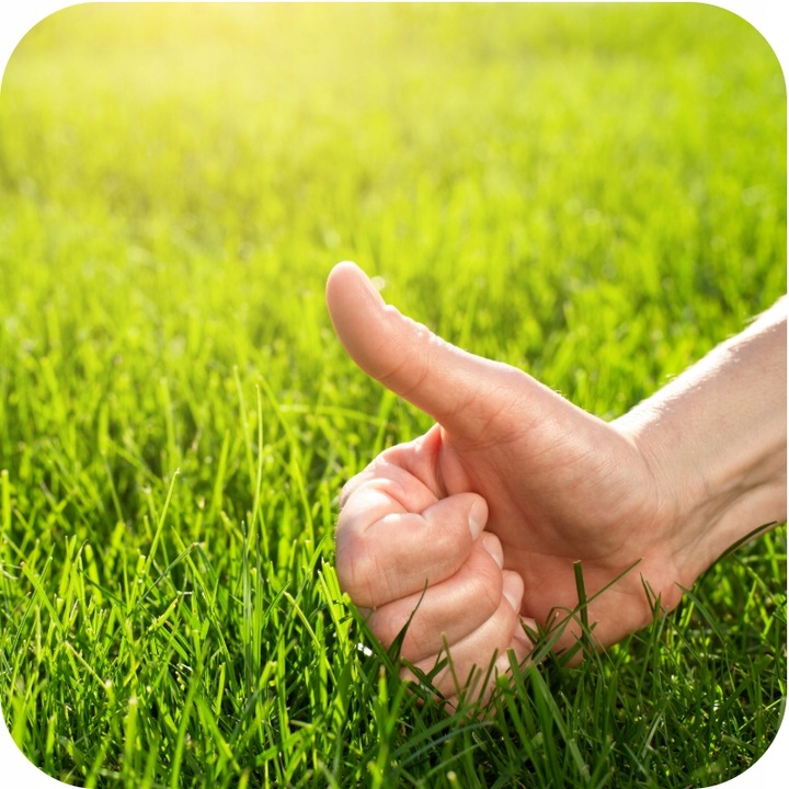 NAWÓZ DO TRAWNIKA do Trawników 5kg BEZCHLORKOWY GRANULOWANY ROSAFERT