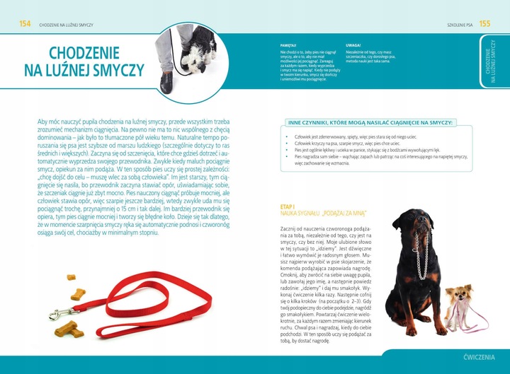 Szkolenie psa Jak tresować psa Poradnik książka + Kliker CLICKER Trening