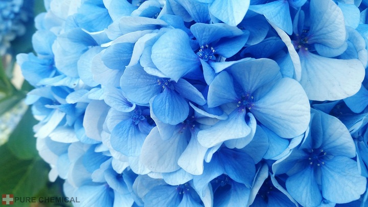 Nawóz siarka, siarczan glinu Pure Chemical proszek 3 kg