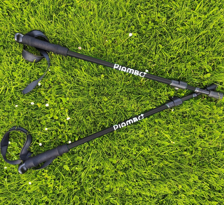 KIJKI DO NORDIC WALKING KIJE TREKKINGOWE DLA DZIECI SKŁADANE REGULOWANE x2