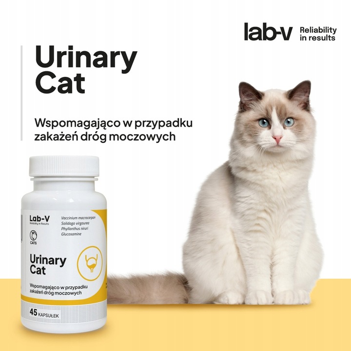 Lab-v Urinary Cat Wsparcie układu moczowego dla kotów 45 kapsułek