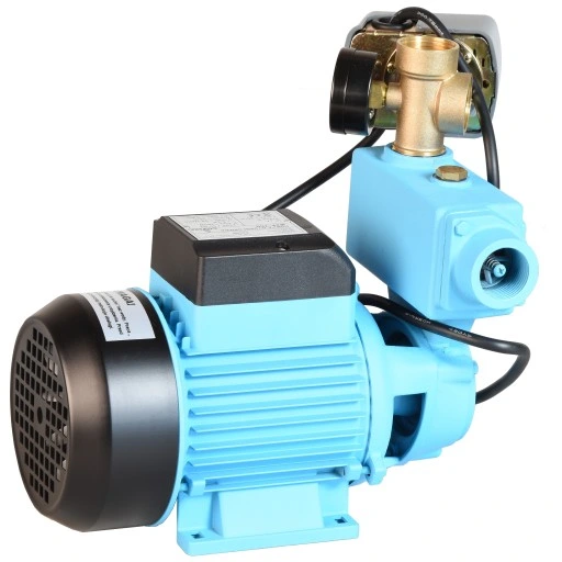 POMPA DO WODY PODLEWANIA WZ 750P 750 + OSPRZĘT HYDROFOROWA OGRODOWA COVERA