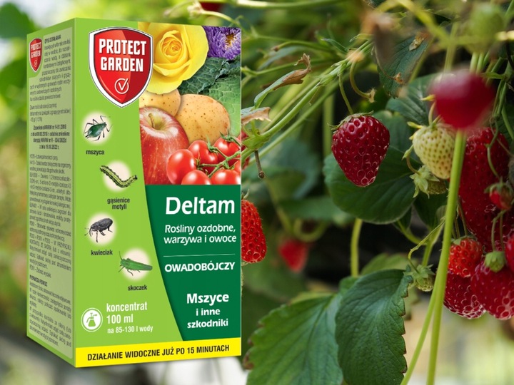 DELTAM ŚRODEK OWADOBÓJCZY MSZYCA KWIECIAK SKOCZEK GĄSIENICE MOTYLI 100ML