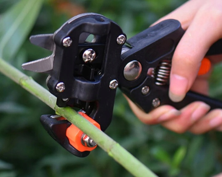 SEKATOR SZCZEPIENIA WINOGRON DRZEW KRZEWÓW + TAŚMA