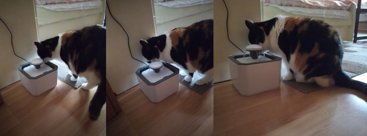 POIDEŁKO MISKA POIDŁO CICHA FONTANNA DLA KOTA PSA 2,5L