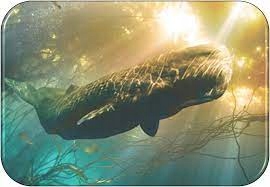 AMBROXAN 20g Molecule 02 Proszek