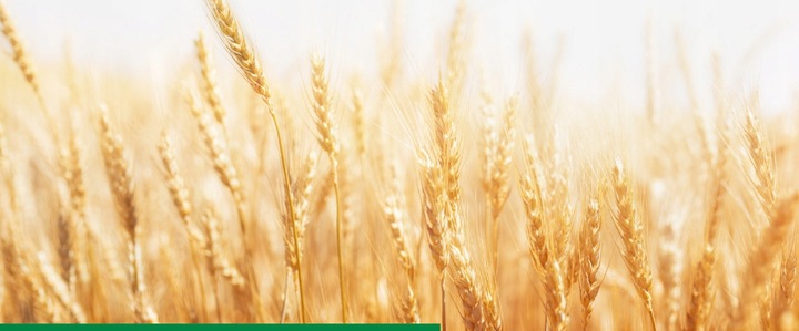 ROSAHUMUS 1kg nawóz organiczny kwasy humusowe POTAS POPRAWIA JAKOŚĆ GLEBY