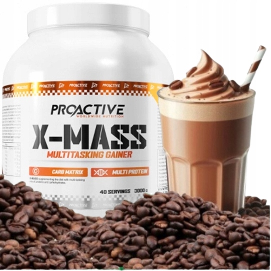 GAINER w proszku białko węglowodany ProActive X-MASS LATTE 3 kg