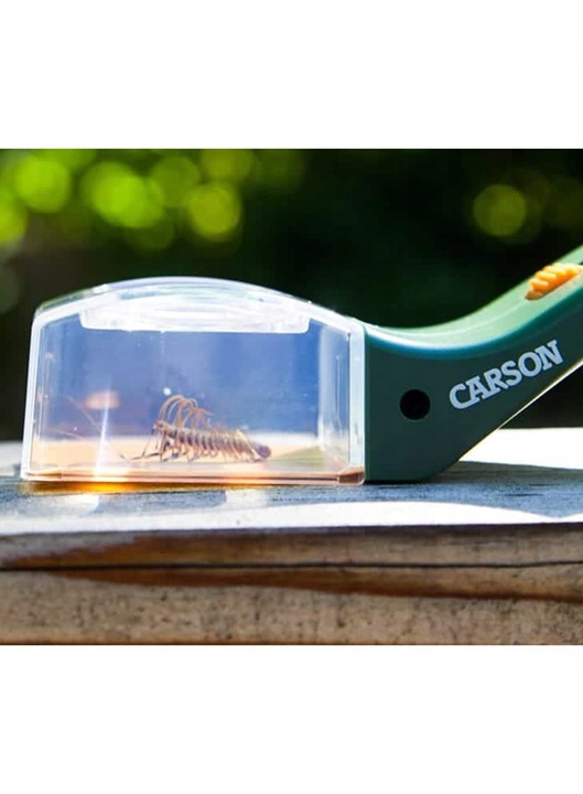 Lupa dla dzieci Carson BugView One Hand 5x Bug Catche - zielona