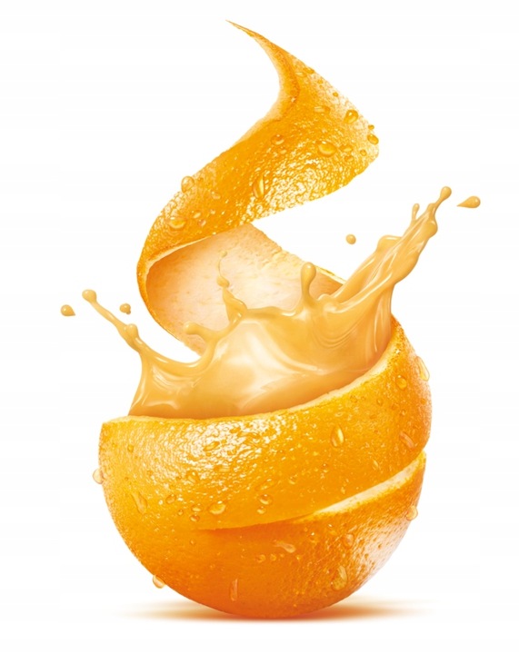 SOKOWIRÓWKA WYSOKOOBROTOWA WYCISKARKA OWOCÓW NA SOK FRESH JUICE INOX