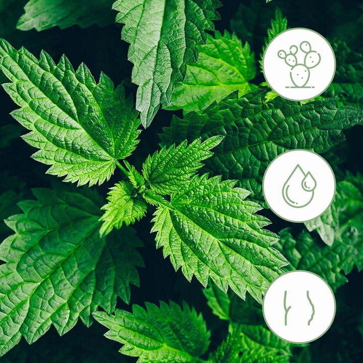 Hydrolight Suplement Redukcja Wody Cellulitu Detox