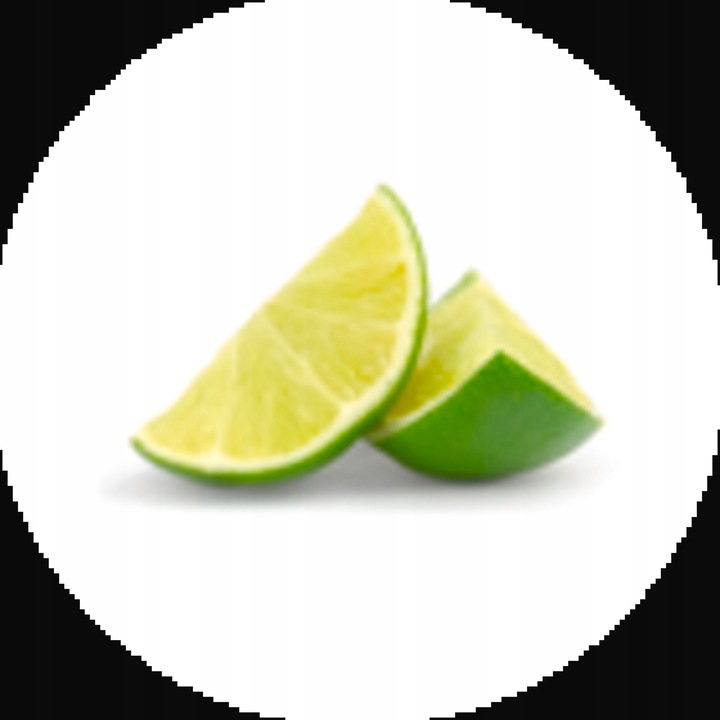 Wyciskarka do Cytrusów SCP600 THE CITRUS PRESS