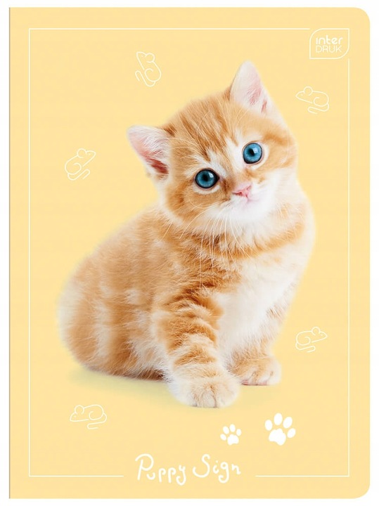 4 X ZESZYT A5, 32 KARTKI, KRATKA Z MARGINESEM, SŁODKIE KOTKI I PIESKI