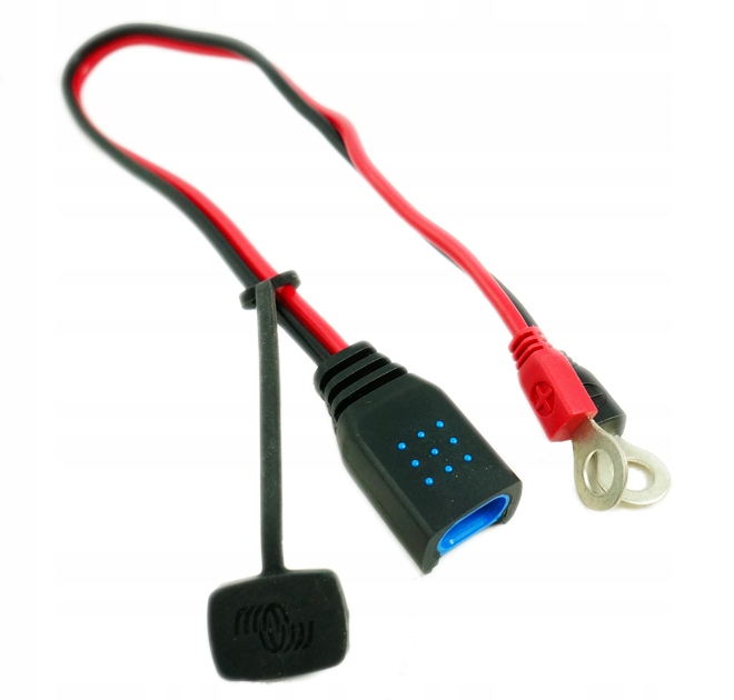 Blue Smart IP65s Charger 12/5 + DC connector