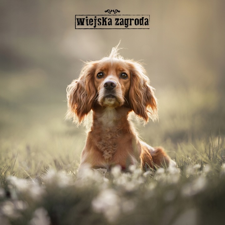 Wiejska Zagroda Karma sucha dla psa INDYK z JAGNIĘCINĄ Średnie rasy M 20kg