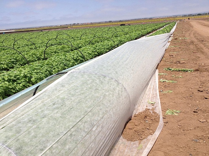 Agrowłóknina biała otulina okryciowa HEVA 1,6x50m 17g wiosenna zimowa UV2%