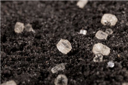 Nawóz siarczan amonu 5kg