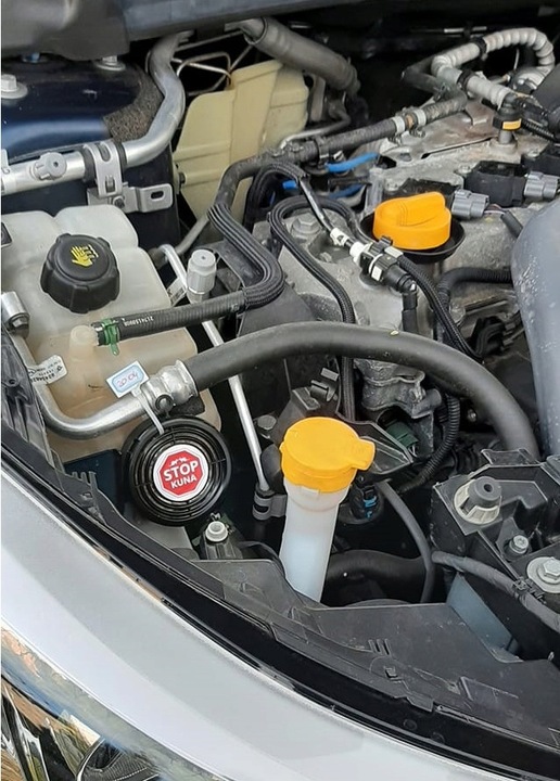 Nowość! KUNA STOP! Profesjonalny preparat NA KUNY!