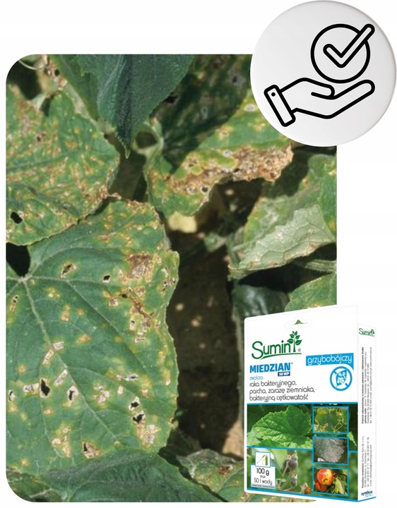 Oprysk Preparat Środek Owadobójczy + Grzybobójczy Miedzian+Mospilan ZESTAW