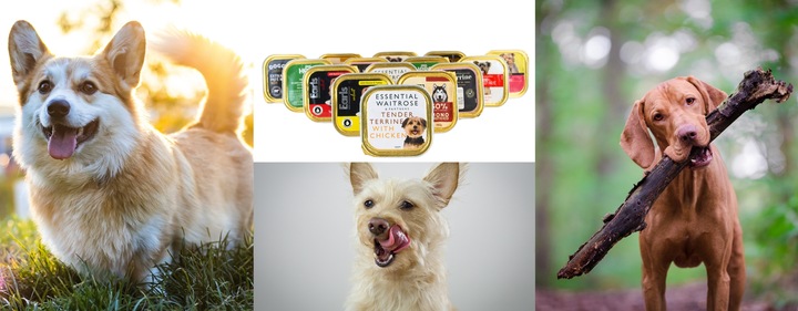 Karma Mokra Dla Psa Tacka Pakiet Zestaw Mieszany mix smaków 150g x 22szt