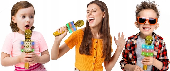 MIKROFON KARAOKE GŁOŚNY Z LAMPKAMI LED DMX ECHO