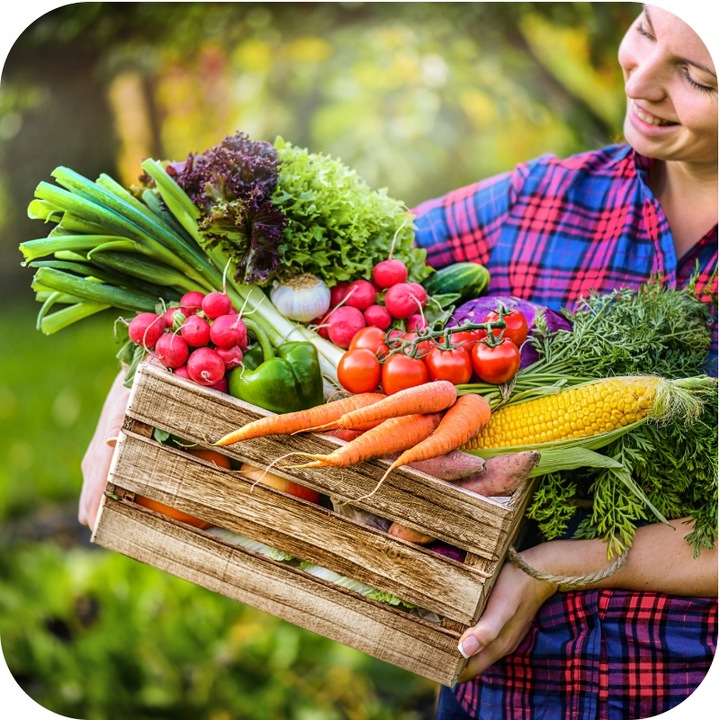 FruktoVit Plus Nawóz uniwersalny granulowany ogrodniczy 5kg ZDROWE ROŚLINY