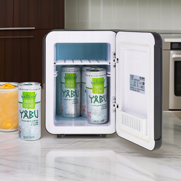Mała lodówka turystyczna 4L samochodowa AC 12V DC 230V, chłodzenie grzanie