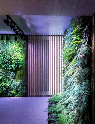 VERTICANA Żarówka do doświetlania roślin 35W czarna 45° oświetla z 2m