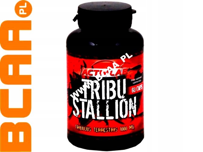 MOCNY TRIBULUS !!! TRIBU STALLION 60 KAP ACTIVLAB