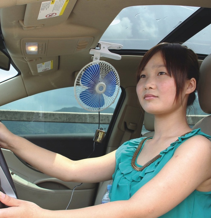 Wentylator Samochodowy Wiatrak do Auta 24V duży