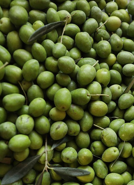 Oliwa z oliwek Extra Virgin 1L NIEFILTROWANA Świeża - Rustico SAPIO